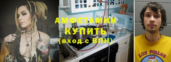 ГАЛЛЮЦИНОГЕННЫЕ ГРИБЫ Аркадак