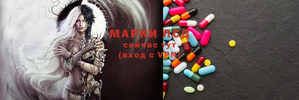 ГАЛЛЮЦИНОГЕННЫЕ ГРИБЫ Аркадак