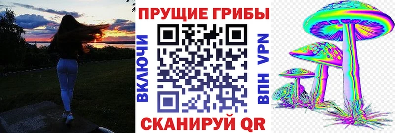 blacksprut как войти Беломорск Галлюциногенные грибы Cubensis