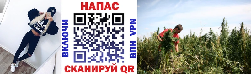 купить закладку  mega ONION  Канабис OG Kush  Беломорск 